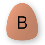 b