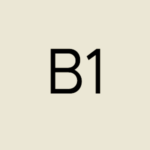 b1