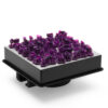 Смола для 3D друку Castable Wax Resin Formlabs 1л 3324