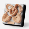 Смола для 3D друку Dental Model V2 Resin Formlabs 1л 3341